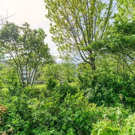 R'apparts T3 Pop Culture