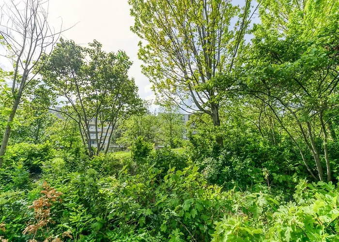 R'apparts T3 Pop Culture